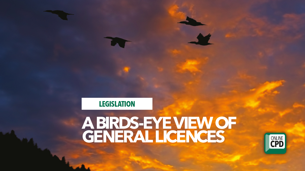 birds eye view general licences bpca defra 2 birds eye view general licences bpca defra 2